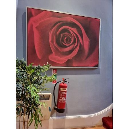 לונדון F301-Awesome 3Rd Flr Studio Fits 1 Near Hyde Park מראה חיצוני תמונה